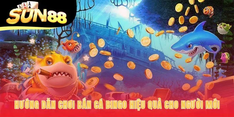 Hướng dẫn 4 bước chơi hiệu quả cho người mới bắt đầu