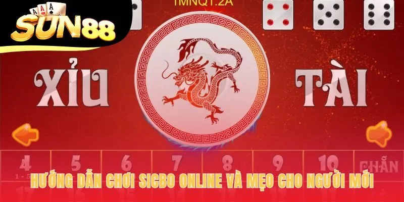 Mẹo cho người mới gồm quản lý vốn và bắt đầu với cược cơ bản