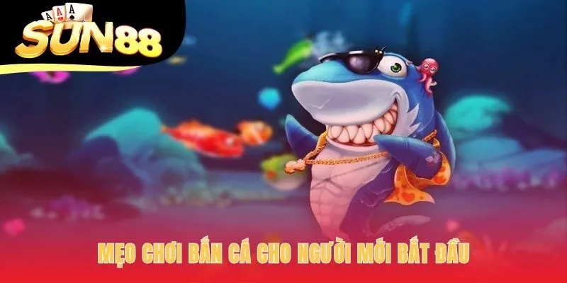 Mẹo chơi bắn cá xây dựng nền tảng từ quản lý đạn và mục tiêu