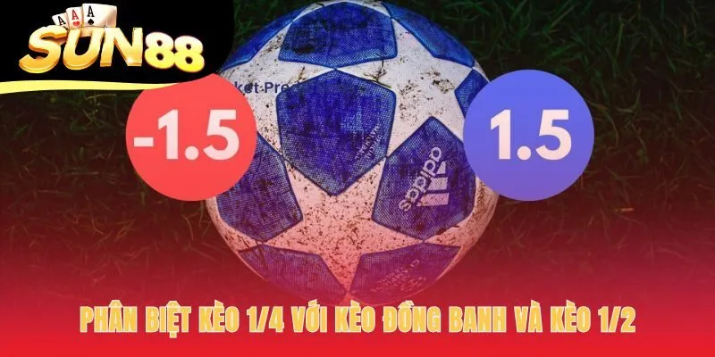 Phân biệt kèo 1/4 với các kèo khác qua cách xử lý kết quả hòa